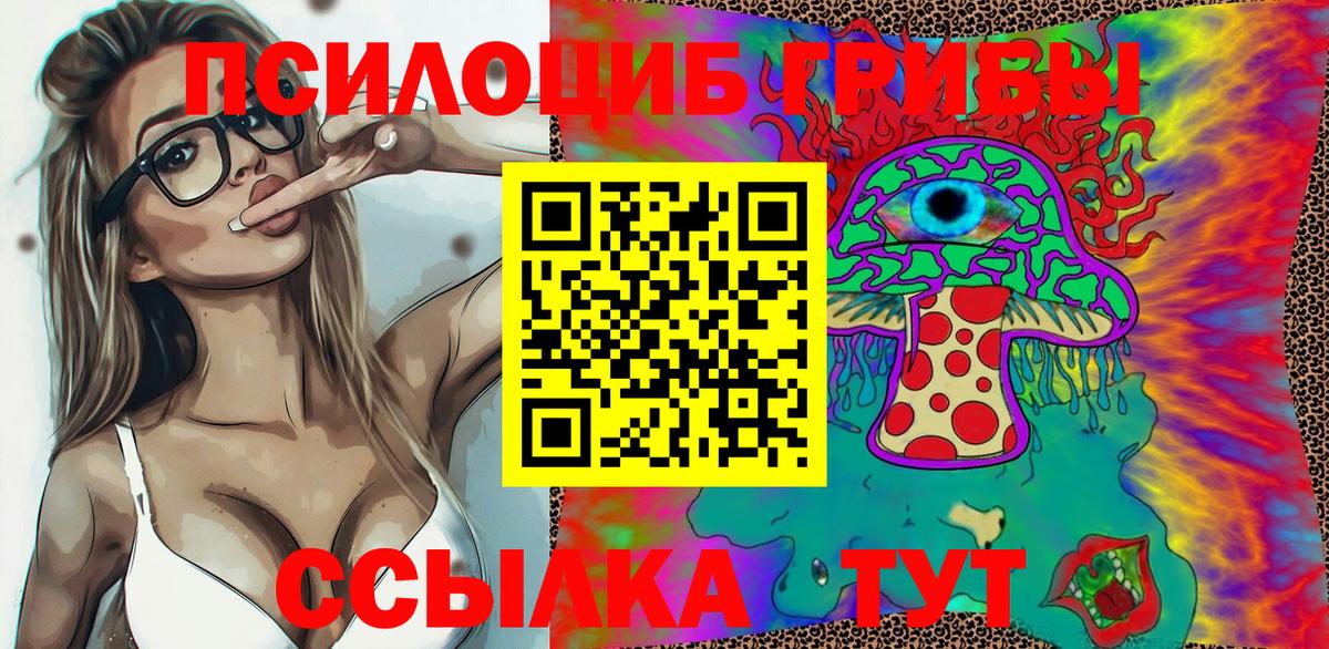 Петропавловск-Камчатский  Псилоцибиновые грибы Psilocybine cubensis  Вход с VPN 