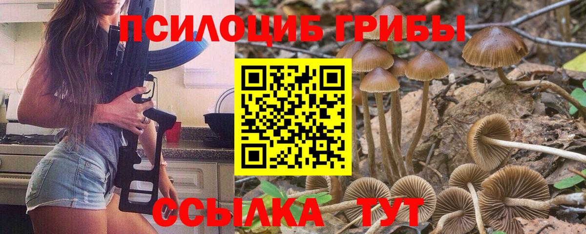 Галлюциногенные грибы GOLDEN TEACHER Петропавловск-Камчатский